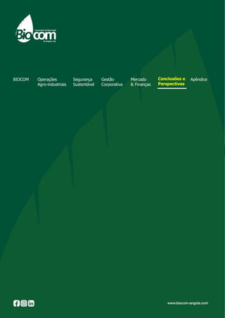 Relatório e contas da Biocom - Angolapdf | PDF