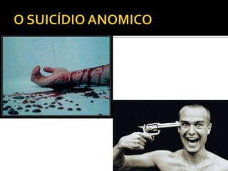 Relatório emile durkheim