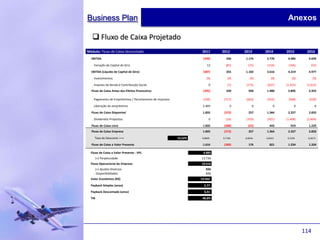 Business Plan                                                                                             Anexos

    Fluxo de Caixa Projetado
Módulo: Fluxo de Caixa Descontado                                    2011     2012     2013     2014     2015       2016
  EBITDA                                                             (399)      436    1.174    2.770     4.485      5.029

   . Variação de Capital de Giro                                        12      (81)     (72)    (154)    (166)        (52)

  EBITDA (Líquido de Capital de Giro)                                (387)      355    1.102    2.616     4.319      4.977

   . Investimentos                                                      (9)      (9)      (9)      (9)       (9)         (9)

   . Imposto de Renda e Contribuição Social                               0      (7)    (173)    (627)   (1.415)    (1.615)
  Fluxo de Caixa Antes dos Efeitos Financeiros                       (395)      339      920    1.980     2.895      3.353

   . Pagamento de Empréstimos / Parcelamento de impostos             (239)     (711)    (663)    (616)    (568)      (520)

   . Liberação do empréstimo                                         2.469         0        0        0         0          0

  Fluxo de Caixa Disponível                                          1.835     (372)     257    1.364     2.327      2.833

   . Dividendos Propostos                                                 0     (16)    (310)    (921)   (1.408)    (1.604)

  Fluxo de Caixa Livre                                               1.835     (388)     (53)     443       919      1.229
  Fluxo de Caixa Empresa                                             1.835     (372)     257    1.364     2.327      2.833

    Taxa de Desconto ==>                                   13,52%    0,8809   0,7760   0,6836   0,6022    0,5305     0,4673

  Fluxo de Caixa a Valor Presente                                    1.616     (289)     176      821     1.234      1.324

  Fluxo de Caixa a Valor Presente - VPL                              4.882
        (+) Perpetuidade                                            13.734
  Fluxo Operacional da Empresa                                      18.616
     (+) Ajustes Diversos                                               836
    . Disponibilidades                                                  836
  Valor Econômico (R$)                                              19.452
  Payback Simples (anos)                                              2,77
  Payback Descontado (anos)                                           3,31
  TIR                                                                40,8%




                                                                                                                   114
 
