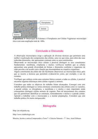 Cloroplastos


                                      Ostíolo


 Estoma

Experiência 3- Observação de Estomas e Cloroplastos em Células Vegetaisao microscópio
ótico com uma ampliação total de 600x




                               Conclusão e Discussão
 A observação microscópica exige a aplicação de diversas técnicas que permitem uma
 melhor visualização dos componentes das células, uma vez que estas, para além das suas
 reduzidas dimensões, não apresentam contraste entre os seus constituintes.
 Observando ao microscópio ótico células é possível distinguir os seus constituintes
 fundamentais: membrana, citoplasma e núcleo; verifica-se também que as células
 apresentam uma grande diversidade de formas e dimensões conforme o organismo de
 onde provêm e de acordo com a função que desempenham no respetivo organismo.
 Alguns constituintes da célula não são facilmente observáveis ao microscópio ótico, pelo
 que se recorre a técnicas que permitem evidenciá-los como, por exemplo, o uso de
 corantes.
 Verifiquei que embora exista uma estrutura básica comum a todas as células, é possível
 encontrar algumas diferenças entre células vegetais e animais.
 Considero que todos os objetivos do trabalho foram alcançados. Consegui com este
 trabalho prático distinguir as várias estruturas constituintes das células como os vacúolos,
 a parede celular, os cloroplastos, a membrana e o núcleo e mais importante ainda
 conseguimos distinguir células animais de vegetais. Para tal necessitamos dos corantes
 que nos permitiram identificar as estruturas, nomeadamente o núcleo e a parede celular.
 Aprendi a trabalhar com o microscópio e a montar preparações. Considero que este
 trabalho prático foi muito enriquecedor.



                                         Bibliografia
Http://pt.wikipedia.org

Http://www.todabiologia.com

Moreira, Jacinta e outros;Compreender a Terra 7 - Ciências Naturais - 7.º Ano; Areal Editores
 