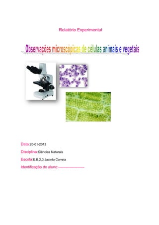 Relatório Experimental




Data:20-01-2013

Disciplina:Ciências Naturais

Escola:E.B.2,3 Jacinto Correia

Identificação do aluno:---------------------
 