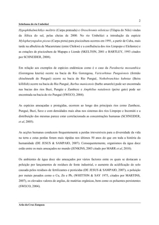 2
Ictiofauna do rio Umbelúzi

Hypophthalmichthys molitrix (Carpa prateada) e Oreochromis niloticus (Tilapia do Nilo) vindas
da África do sul, pelas cheias de 2000. No rio Umbelúzi a introdução da espécie
Mylopharyngodon piceus (Carpa preta) para piscicultura ocorreu em 1991, a partir de Cuba, mais
tarde na albufeira de Macarretane (entre Chókwè e a confluência dos rios Limpopo e Elefantes) e
as estações de piscicultura de Mapapa e Lionde (SKELTON, 2001 e BARTLEY, 1993 citados
por SCHNEIDER, 2008).


Em relação aos exemplos de espécies endémicas como é o caso da Parakneria mossambica
(Gorongosa kneria) ocorre na bacia do Rio Gorongosa, Varicorhinus Pungoéensis (formão
chiselmouth do Pungué) ocorre na bacia do Rio Pungué, Nothobranchius kuhntae (Beira
killifish) ocorre na bacia do Rio Pungué, Barbus manicensis (barbo amarelo) pode ser encontrada
nas bacias dos rios Buzi, Pungúe e Zambeze e Amphilius natalensis (peixe gato) pode ser
encontrada na bacia do rio Pungué (SWECO, 2004).


As espécies ameaçadas e protegidas, ocorrem ao longo dos principais rios como Zambeze,
Pungué, Buzi, Save e com densidades mais altas nos sistemas dos rios Limpopo e Incomáti e a
distribuição das mesmas parece estar correlacionada as concentrações humanas (SCHNEIDER,
et al, 2005).


As acções humanas conduzem frequentemente a perdas irreversíveis para a diversidade da vida
na terra e estas perdas foram mais rápidas nos últimos 50 anos do que em toda a história da
humanidade (DE JESUS & SAMPAIO, 2007). Consequentemente, organismos da água doce
estão entre os mais ameaçados no mundo (JENKINS, 2003 citado por MARR et al, 2010).


Os ambientes de água doce são ameaçados por vários factores entre os quais se destacam a
poluição por lançamentos de resíduos de fonte industrial, o aumento da acidificação do solo
causada pelos resíduos de fertilizantes e pesticidas (DE JESUS & SAMPAIO, 2007), a poluição
por metais pesados como o Cu, Zn e Pb, (WHITTON & SAY 1975, citados por MARTINS,
2007), os elevados valores de argilas, de matérias orgânicas, bem como os poluentes persistentes
(SWECO, 2004).




Arão da Cruz Zunguza
 