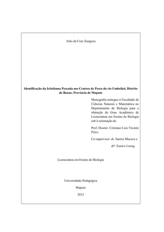Arão da Cruz Zunguza




Identificação da Ictiofauna Pescada nos Centros de Pesca do rio Umbelúzi, Distrito
                          de Boane, Província de Maputo

                                                Monografia entregue á Faculdade de
                                                Ciências Naturais e Matemática no
                                                Departamento de Biologia para a
                                                obtenção do Grau Académico de
                                                Licenciatura em Ensino de Biologia
                                                sob à orientação do

                                                Prof. Doutor. Cristiano Luís Vicente
                                                Pires;

                                                Co-supervisor: dr. Santos Mucave e

                                                               drª. Eunice Leong



                        Licenciatura em Ensino de Biologia




                             Universidade Pedagógica

                                     Maputo

                                      2012
 