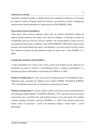 9
Ictiofauna do rio Umbelúzi

copulatório chamado de clasper e as fêmeas parem crias ou depositam volumosos ovos. Possuem
um órgão de sentido, designado ampola de loremzini, que permite aos peixes cartilaginosos
localizar outros animais detectando seu campo eléctrico (UHLENBROEK, 2008).


Peixes Ósseos (Classe Osteichthyes)
Todos peixes ósseos possuem esqueleto interno duro, de espinhos calcificados, embora em
algumas espécies primitivas este muitas vezes é parte da cartilagem. O esqueleto se estende até
as barbatanas como raios flexíveis, móveis e espinhos. Este sistema permite ao peixe mover-se
com grande precisão do que os tubarões e raias (UHLENBROEK, 2008). Muitos peixes ósseos
possuem uma bexiga-natatória que ajusta a sua flutuação e em certas espécies de peixes ósseos
tem estruturas assessorias que lhes permitem respirar em águas rasas e sujas (STORER et al,
2003).


Classificação Sistemática dos Osteichthyes

A classe Osteichthyes (Gr. Osteon, osso; ichthys, peixes) está dividida em três subclasses: Os
Acanthodii (um grupo já extinto), os Actinopterygii (percas e espécies assemelhadas) e os
Sarcopterygii (peixes pulmonados e crossopterígios) (STORER et al, 2003).


Subclasse Actinopterygii (Gr. Aktin, raio; pterygion, barbatana) peixes com barbatanas de raios.
Barbatanas pares, suportados por espinhos ósseos radiantes (DORIT, WALKER & BARNES,
1991). Esta subclasse esta divida em 5 infraclasses, compostas por 30 ordens.


Subclasse Sarcopterygii (Gr. Sarkodes, gordo, carnudo, musculoso; pterygon, barbatana) peixes
com barbatanas lobadas (DORIT, WALKER & BARNES, 1991). Apresenta narinas geralmente
comunicadas com a cavidade bucal; cada barbatana possui um par com grande lobo mediano
contendo esqueleto articulado e músculos (STORER et al, 2003). Esta subclasse possui duas
ordens: ordem Crossopterygii – peixes com barbatanas lobadas e ordem Dipnoi – peixes
pulmonados.




Arão da Cruz Zunguza
 
