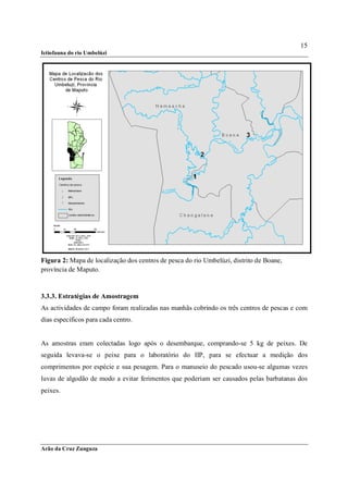 15
Ictiofauna do rio Umbelúzi




Figura 2: Mapa de localização dos centros de pesca do rio Umbelúzi, distrito de Boane,
província de Maputo.


3.3.3. Estratégias de Amostragem
As actividades de campo foram realizadas nas manhãs cobrindo os três centros de pescas e com
dias específicos para cada centro.


As amostras eram colectadas logo após o desembarque, comprando-se 5 kg de peixes. De
seguida levava-se o peixe para o laboratório do IIP, para se efectuar a medição dos
comprimentos por espécie e sua pesagem. Para o manuseio do pescado usou-se algumas vezes
luvas de algodão de modo a evitar ferimentos que poderiam ser causados pelas barbatanas dos
peixes.




Arão da Cruz Zunguza
 