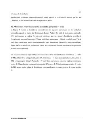 21
Ictiofauna do rio Umbelúzi

próximos de 1 indicam menor diversidade. Neste sentido, o valor obtido revelou que no Rio
Umbelúzi, existe muita diversidade de espécies de peixe.


4.2. Abundância relativa das espécies capturadas por centro de pesca
O Figura 4 mostra a abundância (dominância) das espécies capturadas no rio Umbelúzi,
calculada segundo o Índice de Dominância Berger-Parker. Do total de indivíduos capturados
69% pertenceram a espécie Oreochromis niloticus, que teve maior abundância, seguida da
Oreochromis mossambicus com 15% de indivíduos capturados e Tilapia rendalli com 9% de
indivíduos capturados, sendo assim as espécies mais abundantes. As espécies menos abundantes
foram Ambassis natalensis, Labeo rudi e Lisa macrolepis que tiveram um número insignificante
de indivíduos capturado.


Em todos os centros a espécie Oreochromis niloticus teve maior índice de dominância. O centro
de Mahanhane teve uma percentagem 71% totalizando 116 indivíduos capturados, no centro da
BPL a percentagem foi de 81% igual a 110 indivíduos capturados, a mesma espécie dominou no
centro de Mazambanine com a percentagem de 42%, cerca de 31 indivíduos capturados. O centro
da BPL teve o maior índice de dominância comparando com os outros centros de pesca (gráfico
5).




Arão da Cruz Zunguza
 
