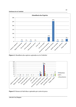 22
Ictiofauna do rio Umbelúzi


                                          Abundância das Espécies
     300
                                                                          69%
     250


     200


     150


     100
                                                                   15%
      50                                                                                              9%
                     1%       1%     1%      1%                                      2%      1%
        0




Figura 4: Abundância das espécies capturadas no rio Umbelúzi



      140
                                                           116
                                                            110
      120
      100
       80
       60
       40                                           29       31                 27
                                                     21                                   Mahanhane
       20                                              6          51     23 6
               1 32       2    2 2    2 1         1                                       BP L
         0
                                                                                          Mazambanine




Figura 5: Número de Indivíduos capturados por centro de pesca



Arão da Cruz Zunguza
 