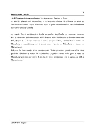 24
Ictiofauna do rio Umbelúzi

4.3.1.Comparação dos pesos das espécies comuns nos Centros de Pesca
As espécies Oreochromis mossambicus e Oreochromis niloticus, identificadas no centro de
Mazambanine tiveram valores maiores de média de pesos, comparando com os valores obtidos
nos outros centros (Figura 6).


As espécies Bagrus meridionalis e Shielbe intermedius, identificadas em comum no centro de
BPL e Mahanhane apresentaram uma média de pesos menor no centro de Mahanhane e maior na
BPL (Figura 6). O mesmo verificou-se com a Tilapia rendalli, identificada nos centros de
Mahanhane e Mazambanine, onde o menor valor obteve-se em Mahanhane e o maior em
Mazambanine.
Diferente das duas espécies acima mencionadas a Clarias gariepinus, possui uma média maior
peso em Mahanhane e menor em Mazambanine (Figura 6). Duma forma geral o centro de
Mahanhane teve menores valores da média dos pesos comparando com os centros da BPL e
Mazambanine.




Arão da Cruz Zunguza
 