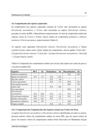 26
Ictiofauna do rio Umbelúzi




4.4. Comprimentos das espécies capturadas
Os comprimentos das espécies capturadas variaram de 11,4cm valor encontrado na espécie
Oreochromis mossambicus a 37,1cm valor encontrado na espécie Oreochromis niloticus,
pescadas no centro da BPL e Mazambanine respectivamente. O valor do comprimento médio das
espécies variou de 13,2cm a 29,8cm valores médios do comprimento pertences a Ambassis
natalensis e Clarias gariepinus, respectivamente (Tabela 4).


As espécies mais capturadas (Oreochromis niloticus, Oreochromis mossambicus e Tilapia
rendalli) tiveram valores como valores médios de comprimento e desvio padrão 17,4cm (Sd =
2,5) para Oreochromis niloticus, 17,3cm (Sd = 2,6) para Oreochromis mossambicus e 19cm (Sd
= 3,3) para Tilapia rendalli.


Tabela 4: Comparação dos comprimentos médios (em cm) de cada espécie por centro de pesca e
o seu desvio padrão (Sd)

Espécies                     BP L      Sd     Mahanhane        Sd    Mazambanine   Sd
Ambassis natalensis           -         -         -             -        13,2      0,0
Bagrus meridionalis          19,1      1,8      16,5           0,6        -         -
Brycinus imberi               -         -       15,5           3,6        -         -
Clarias gariepinus            -         -       25,0           3,5       29,8      6,6
Glassogobius giurius          -         -         -             -        24,5      2,8
Labeo rudi                    -         -       19,3           0,0        -         -
Lisa macrolepis               -         -         -             -        28,0      0,0
Oreochromis
mossambicus                     25,6   18,0      15,9          1,4      18,2       3,4
Oreochromis niloticus           24,9   17,2      16,2          1,4      19,1       4,4
Shielbe intermedius             27,0    0,0      19,7          3,7       -          -
Synodontis zambensis            18,6    2,0       -             -       18,6       1,9
Tilapia rendalli                 -       -       15,8          1,6      19,7       3,2


4.4.1. Comparação dos Comprimentos das Espécies comuns nos Centros de Pesca
A espécie Oreochromis mossambicus e Oreochromis niloticus identificadas em todos os centros,
possuem maiores valores de comprimentos médios no centro BPL, que nos outros centros de
pesca. Os menores valores de comprimentos médios foram observados em Mahanhane (Figura


Arão da Cruz Zunguza
 