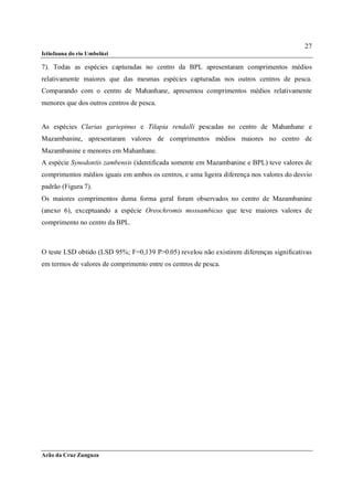 27
Ictiofauna do rio Umbelúzi

7). Todas as espécies capturadas no centro da BPL apresentaram comprimentos médios
relativamente maiores que das mesmas espécies capturadas nos outros centros de pesca.
Comparando com o centro de Mahanhane, apresentou comprimentos médios relativamente
menores que dos outros centros de pesca.


As espécies Clarias gariepinus e Tilapia rendalli pescadas no centro de Mahanhane e
Mazambanine, apresentaram valores de comprimentos médios maiores no centro de
Mazambanine e menores em Mahanhane.
A espécie Synodontis zambensis (identificada somente em Mazambanine e BPL) teve valores de
comprimentos médios iguais em ambos os centros, e uma ligeira diferença nos valores do desvio
padrão (Figura 7).
Os maiores comprimentos duma forma geral foram observados no centro de Mazambanine
(anexo 6), exceptuando a espécie Oreochromis mossambicus que teve maiores valores de
comprimento no centro da BPL.



O teste LSD obtido (LSD 95%; F=0,139 P˃0.05) revelou não existirem diferenças significativas
em termos de valores de comprimento entre os centros de pesca.




Arão da Cruz Zunguza
 
