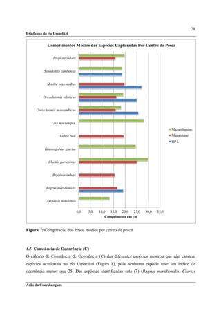 28
Ictiofauna do rio Umbelúzi


             Comprimentos Medios das Especies Capturadas Por Centro de Pesca

                Tilapia rendalli


           Synodontis zambensis


             Shielbe intermedius


          Oreochromis niloticus


      Oreochromis mossambicus


                Lisa macrolepis
                                                                                     Mazambanine
                     Labeo rudi                                                      Mahanhane
                                                                                     BP L

           Glassogobius giurius


             Clarias gariepinus


                Brycinus imberi


            Bagrus meridionalis


            Ambassis natalensis

                                   0,0   5,0   10,0 15,0 20,0 25,0     30,0   35,0
                                                   Comprimento em cm


Figura 7: Comparação dos Pesos médios por centro de pesca



4.5. Constância de Ocorrência (C)
O cálculo de Constância de Ocorrência (C) das diferentes espécies mostrou que não existem
espécies ocasionais no rio Umbelúzi (Figura 8), pois nenhuma espécie teve um índice de
ocorrência menor que 25. Das espécies identificadas sete (7) (Bagrus meridionalis, Clarias


Arão da Cruz Zunguza
 