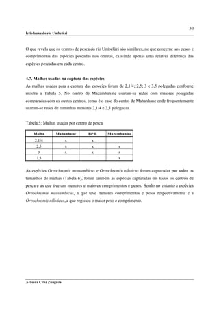 30
Ictiofauna do rio Umbelúzi



O que revela que os centros de pesca do rio Umbelúzi são similares, no que concerne aos pesos e
comprimentos das espécies pescadas nos centros, existindo apenas uma relativa diferença das
espécies pescadas em cada centro.


4.7. Malhas usadas na captura das espécies
As malhas usadas para a captura das espécies foram de 2,1/4; 2,5; 3 e 3,5 polegadas conforme
mostra a Tabela 5. No centro de Mazambanine usaram-se redes com maiores polegadas
comparadas com os outros centros, como é o caso do centro de Mahanhane onde frequentemente
usaram-se redes de tamanhas menores 2,1/4 e 2,5 polegadas.


Tabela 5: Malhas usadas por centro de pesca

    Malha         Mahanhane         BP L      Mazambanine
     2,1/4              x            x
      2,5               x            x              x
       3                x            x              x
      3,5                                           x


As espécies Oreochromis mossambicus e Oreochromis niloticus foram capturadas por todos os
tamanhos de malhas (Tabela 6), foram também as espécies capturadas em todos os centros de
pesca e as que tiveram menores e maiores comprimentos e pesos. Sendo no entanto a espécies
Oreochromis mossambicus, a que teve menores comprimentos e pesos respectivamente e a
Oreochromis niloticus, a que registou o maior peso e comprimento.




Arão da Cruz Zunguza
 