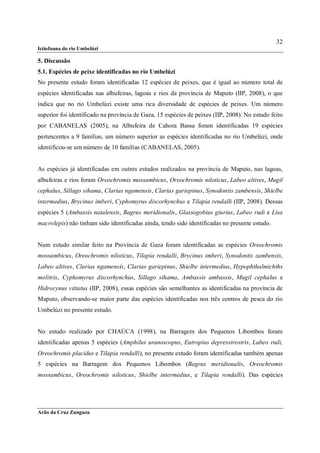 32
Ictiofauna do rio Umbelúzi

5. Discussão
5.1. Espécies de peixe identificadas no rio Umbelúzi
No presente estudo foram identificadas 12 espécies de peixes, que é igual ao número total de
espécies identificadas nas albufeiras, lagoas e rios da província de Maputo (IIP, 2008), o que
indica que no rio Umbelúzi existe uma rica diversidade de espécies de peixes. Um número
superior foi identificado na província de Gaza, 15 espécies de peixes (IIP, 2008). No estudo feito
por CABANELAS (2005), na Albufeira de Cahora Bassa foram identificadas 19 espécies
pertencentes a 9 famílias, um número superior as espécies identificadas no rio Umbelúzi, onde
identificou-se um número de 10 famílias (CABANELAS, 2005).


As espécies já identificadas em outros estudos realizados na província de Maputo, nas lagoas,
albufeiras e rios foram Oreochromis mossambicus, Oreochromis niloticus, Labeo altives, Mugil
cephalus, Sillago sihama, Clarias ngamensis, Clarias gariepinus, Synodontis zambensis, Shielbe
intermedius, Brycinus imberi, Cyphomyrus discorhynchus e Tilapia rendalli (IIP, 2008). Dessas
espécies 5 (Ambassis natalensis, Bagrus meridionalis, Glassogobius giurius, Labeo rudi e Lisa
macrolepis) não tinham sido identificadas ainda, tendo sido identificadas no presente estudo.


Num estudo similar feito na Província de Gaza foram identificadas as espécies Oreochromis
mossambicus, Oreochromis niloticus, Tilapia rendalli, Brycinus imberi, Synodontis zambensis,
Labeo altives, Clarias ngamensis, Clarias gariepinus, Shielbe intermedius, Hypophthalmichths
molitrix, Cyphomyrus discorhynchus, Sillago sihama, Ambassis ambassis, Mugil cephalus e
Hidrocynus vittatus (IIP, 2008), essas espécies são semelhantes as identificadas na província de
Maputo, observando-se maior parte das espécies identificadas nos três centros de pesca do rio
Umbelúzi no presente estudo.


No estudo realizado por CHAÚCA (1998), na Barragem dos Pequenos Libombos foram
identificadas apenas 5 espécies (Amphilus uranoscopus, Eutropius depressirostris, Labeo rudi,
Oreochromis placidus e Tilapia rendalli), no presente estudo foram identificadas também apenas
5 espécies na Barragem dos Pequenos Libombos (Bagrus meridionalis, Oreochromis
mossambicus, Oreochromis niloticus, Shielbe intermedius, e Tilapia rendalli). Das espécies




Arão da Cruz Zunguza
 