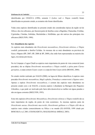 33
Ictiofauna do rio Umbelúzi

identificadas por CHAÚCA (1998), somente 2 (Labeo rudi e Tilapia rendalli) foram
identificadas no presente estudo, as restantes não foram identificadas.


Todas estas espécies identificadas no presente estudo são consideradas típicas da região sul de
África e dos rios africanos, por fazerem parte de famílias como a Bagridae, Characidae, Ciclidae,
Cyprinidae, Claridae, Gobiidae, Mochokidae e Schilbidae, que são nativas dos principais rios
africanos (SKELTON, 1988).


5.2. Abundância das espécies
As espécies mais abundantes são Oreochromis mossambicus, Oreochromis niloticus, e Tilapia
rendalli, pertencendo a família Ciclidae. As mesmas são as mais abundantes na província de
Gaza e Maputo (IIP, 2007; IIP, 2008 & IIP, 2009), elas estão bem representadas na maioria dos
lagos, rios destas províncias.


No rio Limpopo e Lagoa Chuáli as espécies mais importantes do ponto de vista comercial (mais
pescadas), são as tilápias Oreochromis mossambicus e Tilapia rendalli, o peixe preto Clarias
gariepinus, a carpa comum Carpio carpio e a carpa do limo Carpio idella (BOANE, 2008).


No estudo similar realizado por SALES (2000), na lagoa do Bilene identificou 4 espécies mais
pescadas Oreochromis mossambicus, Mugil cephalus, Pomadasys commersonni e Siganus sutor.
Apenas a espécie Oreochromis mossambicus, é comum das espécies mais abundantes no
presente estudo com o de SALES, a mesma espécie é abundante na Barragem dos Pequenos
Libombos, o que pode ser motivado pelo facto dela desenvolver-se melhor em águas paradas e
não em águas correntes (SKELTON, 1993).


Estas três espécies (Oreochromis Mossambicus, Oreochromis niloticus e Tilapia rendalli) são as
mais importantes da região, do ponto de vista económico. As mesmas espécies junto da
Oreochromis aureus, Oreochromis maccrochir, Oreochromis galilaeus e a Tilapia zillii são as
espécies mais criadas comercialmente na África e no mundo (EL-SAYED, 1999 citado por
BOSCOLO et al, 2001; CHANGADEYA, MALEKANO & AMBALI, 2003).




Arão da Cruz Zunguza
 