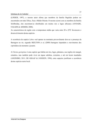 37
Ictiofauna do rio Umbelúzi

(LINDER, 1997), o mesmo autor afirma que membros da família Bagridae podem ser
encontrados em toda África, Ásia e Médio Oriente. O mesmo ocorre com os membros da família
Schilbeidae, eles encontram-se distribuídos em muitos rios e lagos africanos (AYOADE,
FAGADE & ADEBISI, 2008).
As características da região com a temperatura média que varia entre 20 a 25ºC favorecem o
desenvolvimento destas espécies.


A ocorrência da espécie Labeo rudi apenas na montante provavelmente deve-se a presença da
Barragem no rio, segundo SKELTON et al, (2009) barragens impendem o movimentos dos
ciprinídeos da montante a jusante.


A Clarias gariepinus é uma espécie que habita em rios, lagos, pântanos, nas regiões de mangal,
estuários, mas também pode viver em águas salobras, correntes, e até em locais inundados
(ANONIMO, 2011; DE GRAAF & JANSSEN, 1996), estes aspectos justificam a ocorrência
destas espécies neste local.




Arão da Cruz Zunguza
 
