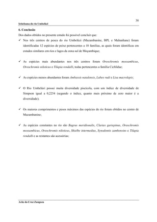 38
Ictiofauna do rio Umbelúzi

6. Conclusão
Dos dados obtidos no presente estudo foi possível concluir que:
 Nos três centros de pesca do rio Umbelúzi (Mazambanine, BPL e Mahanhane) foram
    identificadas 12 espécies de peixe pertencentes a 10 famílias, as quais foram identificas em
    estudos similares em rios e lagos da zona sul de Moçambique;


 As espécies mais abundantes nos três centros foram Oreochromis mossambicus,
    Oreochromis niloticus e Tilapia rendalli, todas pertencentes a família Cichlidae;


 As espécies menos abundantes foram Ambassis natalensis, Labeo rudi e Lisa macrolepis;


 O Rio Umbelúzi possui muita diversidade piscícola, com um índice de diversidade de
    Simpson igual a 0,2254 (segundo o índice, quanto mais próximo de zero maior é a
    diversidade);


 Os maiores comprimentos e pesos máximos das espécies do rio foram obtidos no centro de
    Mazambanine;


 As espécies constantes no rio são Bagrus meridionalis, Clarias gariepinus, Oreochromis
    mossambicus, Oreochromis niloticus, Shielbe intermedius, Synodontis zambensins e Tilapia
    rendalli e as restantes são acessórias;




Arão da Cruz Zunguza
 