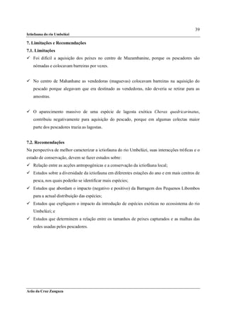 39
Ictiofauna do rio Umbelúzi

7. Limitações e Recomendações
7.1. Limitações
 Foi difícil a aquisição dos peixes no centro de Mazambanine, porque os pescadores são
    nómadas e colocavam barreiras por vezes.


 No centro de Mahanhane as vendedoras (maguevas) colocavam barreiras na aquisição do
    pescado porque alegavam que era destinado as vendedoras, não deveria se retirar para as
    amostras.


 O aparecimento massivo de uma espécie de lagosta exótica Cherax quedricarinatus,
    contribuiu negativamente para aquisição do pescado, porque em algumas colectas maior
    parte dos pescadores trazia as lagostas.


7.2. Recomendações
Na perspectiva de melhor caracterizar a ictiofauna do rio Umbelúzi, suas interacções tróficas e o
estado de conservação, devem se fazer estudos sobre:
 Relação entre as acções antropogénicas e a conservação da ictiofáuna local;
 Estudos sobre a diversidade da ictiofauna em diferentes estações do ano e em mais centros de
    pesca, nos quais poderão se identificar mais espécies;
 Estudos que abordam o impacto (negativo e positivo) da Barragem dos Pequenos Libombos
    para a actual distribuição das espécies;
 Estudos que expliquem o impacto da introdução de espécies exóticas no ecossistema do rio
    Umbelúzi; e
 Estudos que determinem a relação entre os tamanhos de peixes capturados e as malhas das
    redes usadas pelos pescadores.




Arão da Cruz Zunguza
 