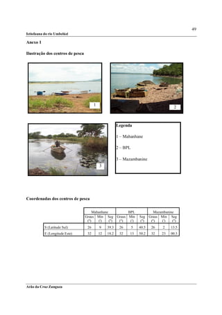49
Ictiofauna do rio Umbelúzi

Anexo 1

Ilustração dos centros de pesca




                                        1
                                                                                            2



                                                        Legenda

                                                        1 – Mahanhane

                                                        2 – BPL

                                                        3 – Mazambanine
                                            3




Coordenadas dos centros de pesca


                                       Mahanhane          BPL                   Mazambanine
                                  Graus Min Seg Graus Min             Seg    Graus Min Seg
                                   (º)    (')    ('') (º)  (')        ('')    (º)   (')   ('')
           S (Latitude Sul)        26       9    39.3    26       5   40.5    26     2    13.5
           E (Longitude Este)      32       12   18.2    32   13      50.2    32    23    00.3




Arão da Cruz Zunguza
 