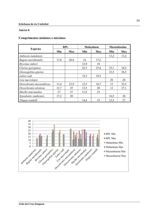 59
Ictiofauna do rio Umbelúzi

Anexo 6

Comprimentos mínimos e máximos

                                    BPL           Mahanhane       Mazambanine
          Espécies
                             Min          Max    Min    Max       Min      Max
Ambassis natalensis                                               13,2     13,2
Bagrus meridionalis          17,8         20,4    16     17,2
Brycinus imberi                                  12,9     18
Clarias gariepinus                               22,5    27,4     25,1     34,5
Glassogobius giurius                                              22,5     26,5
Labeo rudi                                       19,3    19,3
Lisa macrolepis                                                    28       28
Oreochromis mossambicus      11,4         23,9   12,5    18,7      15      22,5
Oreochromis niloticus        12,7          25    12,5     20       12      27,1
Shielbe intermedius           27           27    13,5     23
Synodontis zambensis         17,2          20                     16,5      20
Tilapia rendalli                                 14,4    19       12,5      27




        40
        35
        30
        25
        20                                                      BPL Min
        15
                                                                BPL Max
        10
         5                                                      Mahanhane Min
         0                                                      Mahanhane Max
                                                                Mazambanine Min
                                                                Mazambanine Max




Arão da Cruz Zunguza
 