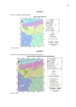 79
ANEXO F
Figura 41: Mapa de zonas homólogas.
Fonte: o autor.
ANEXO G
Figura 42: Mapa fotogeológico com transectos para os campos.
Fonte: o autor.
 