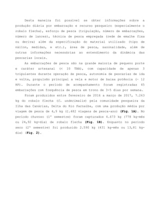 Desta maneira foi possível se obter informações sobre a
produção diária por embarcação e recurso pesqueiro (especialmente o
robalo flecha), esforço de pesca (tripulação, número de embarcações,
número de lances), técnica de pesca empregada (rede de emalhe fixa
ou deriva) além da especificação do material utilizado (tipo de
náilon, medidas, e etc.), área de pesca, sazonalidade, além de
outras informações necessárias ao entendimento da dinâmica das
pescarias locais.
As embarcações de pesca são na grande maioria de pequeno porte
e caráter artesanal (< 10 TBA), com capacidade de apenas 3
tripulantes durante operação de pesca, autonomia de pescarias de ida
e volta, propulsão principal a vela e motor de baixa potência (~ 12
HP). Durante o período de acompanhamento foram registradas 45
embarcações com frequência de pesca em trono de 3-5 dias por semana.
Foram produzidos entre fevereiro de 2016 a março de 2017, 7.263
kg do robalo flecha (C. undecimalis) pela comunidade pesqueira da
Ilha das Canárias, Delta do Rio Parnaíba, com uma produção média por
viagem de pesca de 4,9 kg (1.482 viagens de pesca-ano) (Fig. 1A). No
período chuvoso (1º semestre) foram capturados 4.673 kg (778 kg-mês
ou 24,92 kg-dia) de robalo flecha (Fig. 1B). Enquanto no período
seco (2º semestre) foi produzido 2.590 kg (431 kg-mês ou 13,81 kg-
dia) (Fig. 2).
 