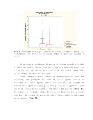 Fig.3. Produção média por viagem de pesca do Robalo flecha C.
undecimalis no Delta do Parnaíba entre o período chuvoso e
seco.
Em relação a atividade de pesca no Delta, quando avaliado
o valor do robalo flecha (~15 reais/kg) e a produção anual com
7.263 kg, foi obtido um valor total de 108.945,0 reais pelo
valor direto de venda da produção.
Foram identificados 8 portos de desembarques na Ilha das
Canárias, com produção variando de 155,3 kg/ano (Porto do
Carioca) e 4.162,7 kg/ano (Porto dos Santos). Em relação ao
número de viagens de pesca para cada porto, as viagens variaram
entre 16 (Porto do Trapiche) e 903 (Porto dos Santos) (Fig. 4).
No entanto a produção média do Porto do Trapiche foi a maior
com 13,9 kg-viagem de pesca devido o menor esforço empregado
para captura (Fig. 5).
Robalo flecha (C. undecimalis)
Delta do Parnaíba
(n= 1.482)
Median
25%-75%
Non-Outlier Range
Outliers
Extremes
Chuvoso Seco
0
10
20
30
40
50
60
70
Produção(kg-viagemdepesca)
 