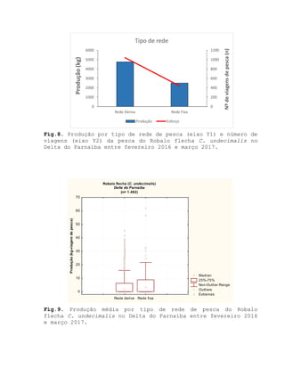 Fig.8. Produção por tipo de rede de pesca (eixo Y1) e número de
viagens (eixo Y2) da pesca do Robalo flecha C. undecimalis no
Delta do Parnaíba entre fevereiro 2016 e março 2017.
Fig.9. Produção média por tipo de rede de pesca do Robalo
flecha C. undecimalis no Delta do Parnaíba entre fevereiro 2016
e março 2017.
0
200
400
600
800
1000
1200
0
1000
2000
3000
4000
5000
6000
Rede Deriva Rede Fixa
Nºdeviagensdepesca(n)
Produção(kg)
Tipo de rede
Produção Esforço
Robalo flecha (C. undecimalis)
Delta do Parnaíba
(n= 1.482)
Median
25%-75%
Non-Outlier Range
Outliers
Extremes
Rede deriva Rede fixa
0
10
20
30
40
50
60
70
Produção(kg-viagemdepesca)
 