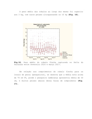 O peso médio dos robalos ao longo dos meses foi superior
aos 3 kg, com raros peixes ultrapassando os 10 kg (Fig. 16).
Fig.16. Peso médio do robalo flecha capturado no Delta do
Parnaíba entre fevereiro 2016 e março 2017.
Em relação aos comprimentos do robalo flecha para os
locais de pesca (pesqueiros), se observa que a média está acima
de 70 cm CT, porém o pesqueiro Lembrança apresentou média de 50
cm, e muitos peixes abaixo dessa faixa de comprimento (Fig.
17).
Robalo flecha (C. undecimalis)
Delta do Parnaíba
(n= 2.268)
Median
25%-75%
Non-Outlier Range
Outliers
ExtremesFev/16
Abr/16
Jun/16
Ago/16
Out/16
Dez/16
Fev/17
0
2
4
6
8
10
12
14
Pesototal(kg)
 
