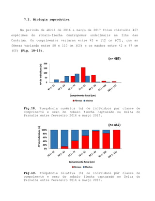 7.2. Biologia reprodutiva
No período de abril de 2016 a março de 2017 foram coletados 467
espécimes do robalo-flecha Centropomus undecimalis na Ilha das
Canárias. Os comprimentos variaram entre 42 e 112 cm (CT), com as
fêmeas variando entre 58 e 110 cm (CT) e os machos entre 42 e 97 cm
(CT) (Fig. 18-19).
Fig.18. Frequência numérica (n) de indivíduos por classe de
comprimento e sexo do robalo flecha capturado no Delta do
Parnaíba entre fevereiro 2016 e março 2017.
Fig.19. Frequência relativa (%) de indivíduos por classe de
comprimento e sexo do robalo flecha capturado no Delta do
Parnaíba entre fevereiro 2016 e março 2017.
0
50
100
150
200
Nºdeindivíduos(n)
Comprimento Total (cm)
(n= 467)
Fêmeas Machos
0%
20%
40%
60%
80%
100%
Nºdeindivíduos(n)
Comprimento Total (cm)
(n= 467)
Fêmeas Machos
 