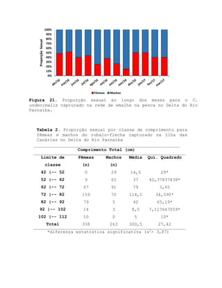 Figura 21. Proporção sexual ao longo dos meses para o C.
undecimalis capturado na rede de emalhe na pesca no Delta do Rio
Parnaíba.
Tabela 2. Proporção sexual por classe de comprimento para
fêmeas e machos do robalo-flecha capturado na Ilha das
Canárias no Delta do Rio Parnaíba
Comprimento Total (cm)
Limite de
classe
Fêmeas
(n)
Machos
(n)
Média Quí. Quadrado
42 |-- 52 0 29 14,5 29*
52 |-- 62 9 65 37 42,37837838*
62 |-- 72 67 91 79 3,65
72 |-- 82 159 70 114,5 34,590*
82 |-- 92 79 5 42 65,19*
92 |-- 102 14 3 8,5 7,117647059*
102 |-- 112 10 0 5 10*
Total 338 263 300,5 27,42
*diferença estatística significativa (ϰ2
> 3,87)
0%
10%
20%
30%
40%
50%
60%
70%
80%
90%
100%
ProporçãoSexual
Fêmeas Machos
 