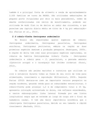 também é a principal fonte de alimento e renda de aproximadamente
2.500 famílias em torno da RESEX. São utilizadas embarcações de
pequeno porte (tripuladas por dois ou mais pescadores), redes de
emalhe confeccionadas com náilon de monofilamento, podendo ser
utilizada de modo fixo ou de deriva ao sabor das correntes, e que
permitem uma captura diária média em torno de 6 kg por embarcação-
dia (Farias et al., 2015).
2. O robalo-flecha Centropomus undecimalis
No Brasil são registradas quatro espécies de robalo:
Centropomus undecimalis, Centropomus parallelus, Centropomus
ensiferus, Centropomus pectinatus, embora na região as duas
primeiras espécies dominam a produção pesqueira (Rodrigues, 2005).
A região do delta tem como suas principais espécies capturadas, os
robalos da família Centropomidae (robalo flecha – Centropomus
undecimalis e robalo peva - C. parallelus), a pescada amarela
(Cynoscion acoupa) e o caranguejo Uçá (Ucides cordatus) (Guzzi,
2012).
Os robalos são peixes marinhos e costeiros que utilizam os
rios e estuários durante todas as fases do seu ciclo de vida para
alimentação, crescimento e reprodução (Bittencourt, 2009). Segundo
Farias (2012) destaca-se como um importante recurso pesqueiro na
região nordeste, gerando renda para as comunidades extrativistas. O
robalo-flecha pode alcançar 1,2 m de comprimento total e 25 kg,
apresenta coloração acinzentada no dorso, com reflexos esverdeados,
e ventre esbranquiçado; linha lateral formada por uma listra
longitudinal negra que se estende ao longo do corpo até o final da
nadadeira caudal. E tem uma maior importância econômica que o
robalo-peva Centropomus parallelus, devido ao seu tamanho e rápido
crescimento (Machado, 2011).
 