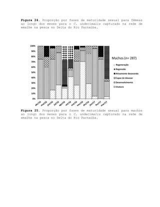 Figura 24. Proporção por fases de maturidade sexual para fêmeas
ao longo dos meses para o C. undecimalis capturado na rede de
emalhe na pesca no Delta do Rio Parnaíba.
Figura 25. Proporção por fases de maturidade sexual para machos
ao longo dos meses para o C. undecimalis capturado na rede de
emalhe na pesca no Delta do Rio Parnaíba.
0%
10%
20%
30%
40%
50%
60%
70%
80%
90%
100%
Machos (n= 287)
Regeneração
Regressão
Ativamente desovando
Capaz de desovar
Desenvolvimento
Imaturo
 