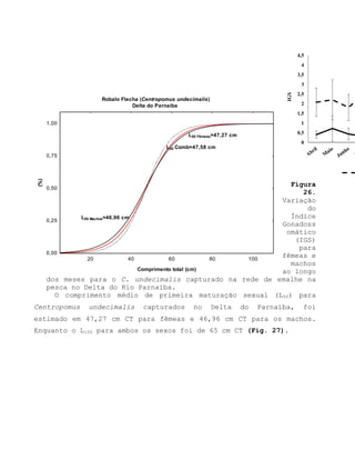 Figura
26.
Variação
do
Índice
Gonadoss
omático
(IGS)
para
fêmeas e
machos
ao longo
dos meses para o C. undecimalis capturado na rede de emalhe na
pesca no Delta do Rio Parnaíba.
O comprimento médio de primeira maturação sexual (L50) para
Centropomus undecimalis capturados no Delta do Parnaíba, foi
estimado em 47,27 cm CT para fêmeas e 46,96 cm CT para os machos.
Enquanto o L100 para ambos os sexos foi de 65 cm CT (Fig. 27).
0
0,5
1
1,5
2
2,5
3
3,5
4
4,5
IGS
Robalo Flecha (Centropomus undecimalis)
Delta do Parnaíba
20 40 60 80 100
Comprimento total (cm)
0,00
0,25
0,50
0,75
1,00
(%)
L50 Comb=47,58 cm
L50 Fêmeas=47,27 cm
L50 Machos=46,96 cm
 