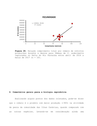 Figura 28. Relação comprimento total por número de ovócitos
produzidos durante a desova para fêmeas de C. undecimalis
capturados no Delta do Rio Parnaíba entre abril de 2016 a
março de 2017 (n = 10).
8. Comentários gerais pesca e biologia reprodutiva
Analisando alguns pontos dos dados coletados, pode-se dizer
que o robalo é o produto com maior produção (~90%) na atividade
de pesca da comunidade das Ilhas Canárias, quando comparado com
as outras espécies. Levando-se em consideração ainda uma
y = 144462x - 8E+06
R² = 0,6353
0
1000000
2000000
3000000
4000000
5000000
6000000
7000000
8000000
9000000
0 20 40 60 80 100 120
N°deovócitos
Comprimento total (cm)
FECUNDIDADE
 