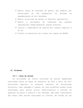  Adotar áreas de exclusão de pesca, que poderia ser
selecionado um dos pesqueiros na entrada da
desembocadura do Rio Parnaíba.
 Adotar um período de defeso ou descanso reprodutivo.
 Adotar a estratégia de liberação dos grandes
reprodutores (mega-spawners) quando possível.
 Limitar o comprimento de captura dos robalos superior a
65 cm.
 Proibir as pescarias dos jovens nas lagoas da RESEX.
10. Biomassa
10.1 – Área de estudo
As atividades de coleta ocorreram em quinze expedições
realizadas entre os meses de fevereiro de 2016 a abril de 2017
procurando explorar os diversos habitats do Ecossistema
estuarino, como igarapés e lagoas. As três primeiras saídas foram
reservadas para testes piloto objetivando-se a escolha do
aparelho de pesca e técnica a ser adotada, bem como conhecimento
das áreas onde seriam realizadas as coletas. Em função da sua
 