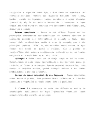 topografia e tipo de circulação o Rio Parnaíba apresenta uma
formação Deltáica formado por diversos habitats como ilhas,
bahias, canais ou igarapés, lagoas marginais e áreas alagadas
(FARIAS et al, 2015). Para o estudo de C. undecimalis foram
escolhidos três tipos de habitats com diferentes características,
descritos a seguir:
Lagoas marginais - Esses corpos d´água formam um dos
principais componentes característicos do sistema rio-zona de
inundação podendo ser heterogêneas em relação à forma, área
superficial, profundidade média e grau de conexão com o rio
principal (ARAUJO, 2008). No rio Parnaíba menor volume de água
ocorre nos meses de julho a outubro, mas a partir de
janeiro/fevereiro aumenta rapidamente, enchendo as muitas lagoas
marginais existente (FARIAS et al., 2015).
Igarapés – constituído por um braço longo de rio ou canal.
Caracterizam-se pela pouca profundidade e por correrem quase no
interior da floresta de mangue. Apenas pequenas embarcações, como
canoas e pequenos barcos, podem navegar devido a sua baixa
profundidade e por ser estreito.
Margem do canal principal do rio Parnaíba – foram escolhidas
áreas rasas e planas, com profundidades inferiores a 2 metros
associada a vegetação de baixo porte como as gramíneas.
A figura 29 apresenta um mapa com diferentes pontos de
amostragens sinalizados no mapa (quadrados vermelho) foram
georeferenciados durante as coletas.
 