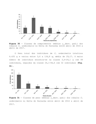 Figura 30 - Classes de comprimentos (médias + desv. pad.) dos
robalos C. undecimalis no Delta do Parnaíba entre abril de 2016 a
abril de 2017.
O Peso total dos indivíduos de C. undecimalis totalizou
4.435 g e variou entre 3,6 a 134,8 g, média de 29,17. O maior
número de indivíduos encontra-se na classe 3,6-24,1 g com 89
indivíduos, seguidos da classe 24,1-44,6 com 32 indivíduos (Fig.
31).
Figura 31 - Classes de peso (médias + desv. pad.) dos robalos C.
undecimalis no Delta do Parnaíba entre abril de 2016 a abril de
2017.
0
10
20
30
40
50
60
70
80
Nºdeindivíduos
Classes de comprimentos
0
20
40
60
80
100
120
Nºdeindivíduos
Classes de pesos
 