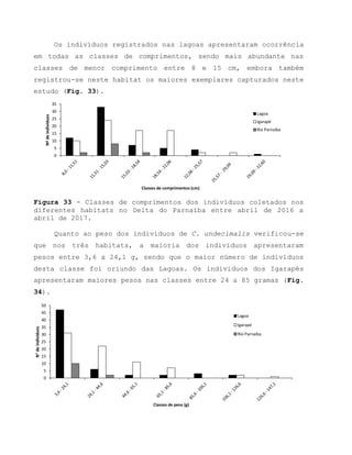 Os indivíduos registrados nas lagoas apresentaram ocorrência
em todas as classes de comprimentos, sendo mais abundante nas
classes de menor comprimento entre 8 e 15 cm, embora também
registrou-se neste habitat os maiores exemplares capturados neste
estudo (Fig. 33).
Figura 33 - Classes de comprimentos dos indivíduos coletados nos
diferentes habitats no Delta do Parnaíba entre abril de 2016 a
abril de 2017.
Quanto ao peso dos indivíduos de C. undecimalis verificou-se
que nos três habitats, a maioria dos indivíduos apresentaram
pesos entre 3,6 a 24,1 g, sendo que o maior número de indivíduos
desta classe foi oriundo das Lagoas. Os indivíduos dos Igarapés
apresentaram maiores pesos nas classes entre 24 a 85 gramas (Fig.
34).
0
5
10
15
20
25
30
35
Nºdeindivíduos
Classes de comprimentos (cm)
Lagoa
Igarapé
Rio Parnaíba
0
5
10
15
20
25
30
35
40
45
50
N°deindivíduos
Classes de peso (g)
Lagoa
Igarapé
Rio Parnaíba
 
