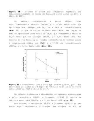 Figura 34 - Classes de pesos dos indivíduos coletados nos
diferentes habitats no Delta do Parnaíba entre abril de 2016 a
abril de 2017.
Os maiores comprimentos e pesos médios foram
significativamente maiores (ANOVA, p < 0,05; Teste LSD) nos
indivíduos dos Igarapés com 16,2 cm e 34,9 g, respectivamente
(Fig. 35) do que os outros habitats amostrados. Nas Lagoas os
robalos apresentam peso médio de 24,62 g e comprimento médio de
14,36 menor que nos igarapés (ANOVA, p < 0,05; Teste LSD). Nas
margens do rio Parnaíba os robalos apresentaram os menores pesos
e comprimentos médios com 17,03 g e 12,94 cm, respectivamente
(ANOVA, p < 0,05; Teste LSD) (Fig. 35).
Igarapé Lagoa Rio Parnaíba
Habitats
5
10
15
20
25
30
35
40
45
Pesototal(g),Comp.total(cm)
Peso
Comprimento
Figura 35 - Comprimento (cm) e Peso (g) (médias + desv. pad.) dos
indivíduos coletados nos 3 tipos de habitats no Delta do Parnaíba
entre abril de 2016 a abril de 2017.
Em relação à biomassa e abundância, os igarapés apresentaram
a maior abundância (16,19) e biomassa (629,42 g) dentre os
habitats amostrados (ANOVA, p < 0,05; Teste LSD) (Fig. 36).
Nas Lagoas, a abundância (6,93) e biomassa (178,26 g) não
foram significativamente diferentes das margens do rio em
 