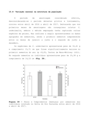10.4- Variação sazonal na estrutura da população
O período de amostragem considerado efetivo,
desconsiderando-se o período detestes pilotos e treinamento,
ocorreu entre abril de 2016 a abril de 2017. Destacando que nos
primeiros meses de amostragens não conseguimos coletar C.
undecimalis, embora o método empregado tenha capturado outras
espécies de peixes. Nas análises a seguir apresentaremos os dados
agrupados em semestres, sendo o primeiro semestre compreendido
entre os meses de janeiro a junho e o segundo de julho a
dezembro.
Os espécimes de C. undecimalis apresentaram peso de 32,41 g
e comprimento 15,71 cm que foram significativamente maiores no
primeiro semestre do ano (p <0,05, Testes de Mann-Whitney ((U)).
No segundo semestre os indivíduos apresentarem peso de 25,38 g e
comprimento de 14,53 cm (Fig. 39).
jan-jun jul-dez
Semestres
0
5
10
15
20
25
30
35
40
45
50
Pesototal(g)
0
2
4
6
8
10
12
14
16
18
20
Comprimentototal(cm)
Peso
Comprimento
Figura 39 – Pesos e Comprimentos (mediana) por semestres dos
indivíduos coletado no Delta do Rio Parnaíba entre abril de 2016
a abril de 2017.
 