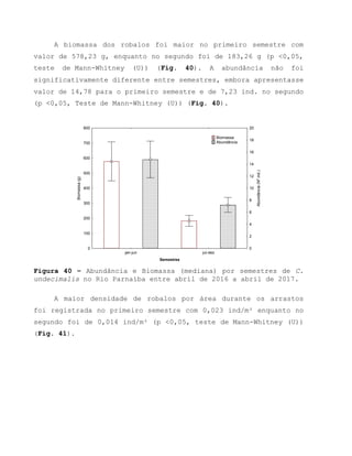 A biomassa dos robalos foi maior no primeiro semestre com
valor de 578,23 g, enquanto no segundo foi de 183,26 g (p <0,05,
teste de Mann-Whitney (U)) (Fig. 40). A abundância não foi
significativamente diferente entre semestres, embora apresentasse
valor de 14,78 para o primeiro semestre e de 7,23 ind. no segundo
(p <0,05, Teste de Mann-Whitney (U)) (Fig. 40).
jan-jun jul-dez
Semestres
0
100
200
300
400
500
600
700
800
Biomassa(g)
0
2
4
6
8
10
12
14
16
18
20
Abundância(Nºind.)
Biomassa
Abundância
Figura 40 – Abundância e Biomassa (mediana) por semestres de C.
undecimalis no Rio Parnaíba entre abril de 2016 a abril de 2017.
A maior densidade de robalos por área durante os arrastos
foi registrada no primeiro semestre com 0,023 ind/m² enquanto no
segundo foi de 0,014 ind/m² (p <0,05, teste de Mann-Whitney (U))
(Fig. 41).
 