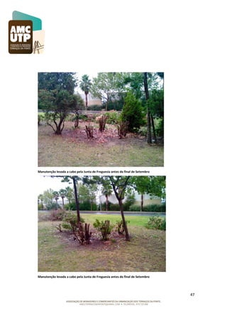 Manutenção levada a cabo pela Junta de Freguesia antes do final de Setembro

Manutenção levada a cabo pela Junta de Freguesia antes do final de Setembro

47

 