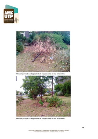 Manutenção levada a cabo pela Junta de Freguesia antes do final de Setembro

Manutenção levada a cabo pela Junta de Freguesia antes do final de Setembro

48

 