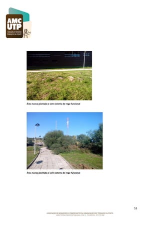 Área nunca plantada e sem sistema de rega funcional

Área nunca plantada e sem sistema de rega funcional

53

 