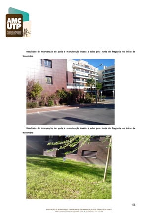 Resultado da Intervenção de poda e manutenção levada a cabo pela Junta de Freguesia no início de
Novembro

Resultado da Intervenção de poda e manutenção levada a cabo pela Junta de Freguesia no início de
Novembro

56

 