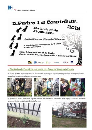 Escola Básica de Canidelo
5
- Plantação de Pinheiros e árvores nos Espaços Verdes da Escola
Os alunos do 8.º C receberam cerca de 40 sementes e vasos para a plantação de pinheiros. Numa primeira fase
cada aluno fez a sementeira num pequeno vaso.
Os alunos da escola plantaram algumas árvores no sentido de reflorestar este espaço. Com esta atividade
tentamos alertar para a importância da floresta.
 