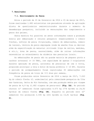 7. Resultados
7.1. Monitoramento da Pesca
Entre o período de 25 de fevereiro de 2016 e 25 de março de 2017,
foram realizadas 1.482 entrevistas com pescadores através da aplicação
direta de questionários semiestruturados durante o momento do
desembarque pesqueiro, incluindo as mensurações dos comprimentos e
pesos dos peixes.
Desta maneira foi possível se obter informações sobre a produção
diária por embarcação e recurso pesqueiro (especialmente o robalo
flecha), esforço de pesca (tripulação, número de embarcações, número
de lances), técnica de pesca empregada (rede de emalhe fixa ou deriva)
além da especificação do material utilizado (tipo de náilon, medidas,
e etc.), área de pesca, sazonalidade, além de outras informações
necessárias ao entendimento da dinâmica das pescarias locais.
As embarcações de pesca são na grande maioria de pequeno porte e
caráter artesanal (< 10 TBA), com capacidade de apenas 3 tripulantes
durante operação de pesca, autonomia de pescarias de ida e volta,
propulsão principal a vela e motor de baixa potência (~ 12 HP). Durante
o período de acompanhamento foram registradas 45 embarcações com
frequência de pesca em trono de 3-5 dias por semana.
Foram produzidos entre fevereiro de 2016 a março de 2017, 7.263
kg do robalo flecha (C. undecimalis) pela comunidade pesqueira da Ilha
das Canárias, Delta do Rio Parnaíba, com uma produção média por viagem
de pesca de 4,9 kg (1.482 viagens de pesca-ano) (Fig. 1A). No período
chuvoso (1º semestre) foram capturados 4.673 kg (778 kg-mês ou 24,92
kg-dia) de robalo flecha (Fig. 1B). Enquanto no período seco (2º
semestre) foi produzido 2.590 kg (431 kg-mês ou 13,81 kg-dia) (Fig.
2).
 