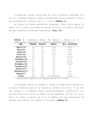 A proporção sexual encontrada no total de peixes coletados foi
de 1,6: 1 (machos:fêmeas), sendo significante estatisticamente (Teste
de Qui-quadrado, ϰ2=3,92, GL=1, P < 0,05) (Tabela 1).
Ao longo dos meses apresentou proporção igual entre ambos os
sexos (1:1), exceto nos meses de agosto (ϰ2=10,0) e novembro (ϰ2=19,6)
em que os machos foram mais abundantes (Fig. 21).
Tabela 1. Proporção sexual de fêmeas e machos de C.
undecimalis capturados no Delta do Parnaíba por meses.
Mês Fêmeas Machos Média Quí. Quadrado
Abril/16 15 16 15,5 0,03
Maio/16 16 15 15,5 0,03
Junho/16 16 24 20 1,6
Julho/16 18 23 20,5 0,61
Agosto/16 10 30 20 10,00*
Setembro/16 15 25 20 2,5
Outubro/16 11 31 21 9,52*
Novembro/16 6 34 20 19,6*
Dezembro/16 21 21 21 0
Janeiro/17 20 20 20 0
Fevereiro/17 16 24 20 1,6
Março/17 16 24 20 1,6
Total 180 287 19,45833333 3,92*
*diferença estatística significativa (ϰ2> 3,87)
A proporção sexual em relação à classe de comprimento apresentou
um maior número de machos em relação às fêmeas entre 42 e 71 cm, com
185 machos e 76 fêmeas. Sendo estatisticamente significante nas
classes 42-51 cm e 52-61 cm (Teste de Qui-quadrado, ϰ2= 29; ϰ2= 42,3;
GL=1; P < 0,05). A partir de 72 cm as fêmeas são mais abundantes em
relação aos machos, 252 fêmeas e 78 machos (Tabela 2).
 
