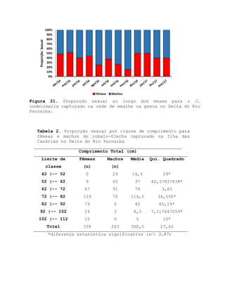 Figura 21. Proporção sexual ao longo dos meses para o C.
undecimalis capturado na rede de emalhe na pesca no Delta do Rio
Parnaíba.
Tabela 2. Proporção sexual por classe de comprimento para
fêmeas e machos do robalo-flecha capturado na Ilha das
Canárias no Delta do Rio Parnaíba
Comprimento Total (cm)
Limite de
classe
Fêmeas
(n)
Machos
(n)
Média Quí. Quadrado
42 |-- 52 0 29 14,5 29*
52 |-- 62 9 65 37 42,37837838*
62 |-- 72 67 91 79 3,65
72 |-- 82 159 70 114,5 34,590*
82 |-- 92 79 5 42 65,19*
92 |-- 102 14 3 8,5 7,117647059*
102 |-- 112 10 0 5 10*
Total 338 263 300,5 27,42
*diferença estatística significativa (ϰ2> 3,87)
0%
10%
20%
30%
40%
50%
60%
70%
80%
90%
100%
ProporçãoSexual
Fêmeas Machos
 