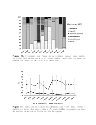 Figura 25. Proporção por fases de maturidade sexual para machos
ao longo dos meses para o C. undecimalis capturado na rede de
emalhe na pesca no Delta do Rio Parnaíba.
Figura 26. Variação do Índice Gonadossomático (IGS) para fêmeas e
machos ao longo dos meses para o C. undecimalis capturado na rede
de emalhe na pesca no Delta do Rio Parnaíba.
0%
10%
20%
30%
40%
50%
60%
70%
80%
90%
100%
Machos (n= 287)
Regeneração
Regressão
Ativamente desovando
Capaz de desovar
Desenvolvimento
Imaturo
0
0,5
1
1,5
2
2,5
3
3,5
4
4,5
IGS
Média Fêmeas Média Machos
 